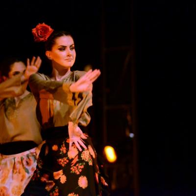 Fotografía de Talleres de danza española - Conservatorio de Danza