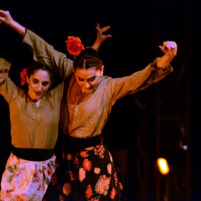 Fotografía de Talleres de danza española - Conservatorio de Danza