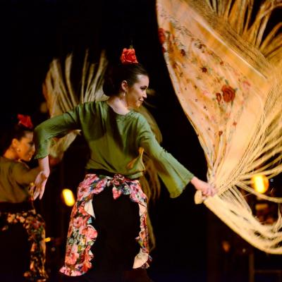 Fotografía de Talleres de danza española - Conservatorio de Danza