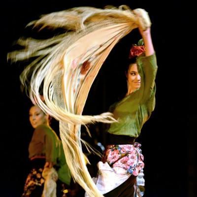 Fotografía de Talleres de danza española - Conservatorio de Danza