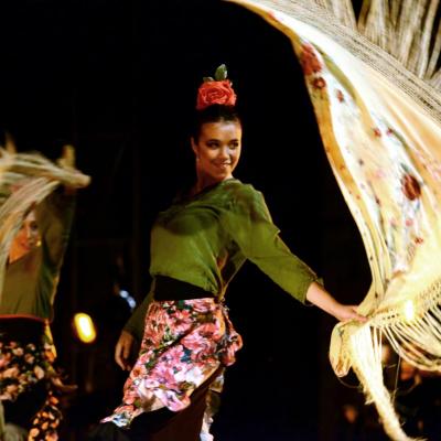 Fotografía de Talleres de danza española - Conservatorio de Danza