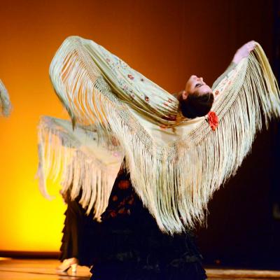 Fotografía de Talleres de danza española - Conservatorio de Danza