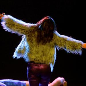 Fotografía de Yo quiero bailar toda la noche - Proyecto Pelo