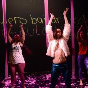 Fotografía de Yo quiero bailar toda la noche - Proyecto Pelo