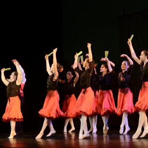 Fotografía de Don Quijote - Conservatorio de Danza