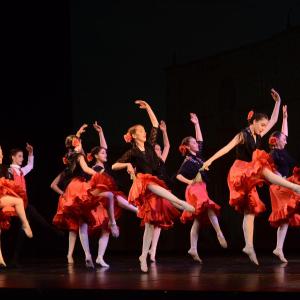 Fotografía de Don Quijote - Conservatorio de Danza