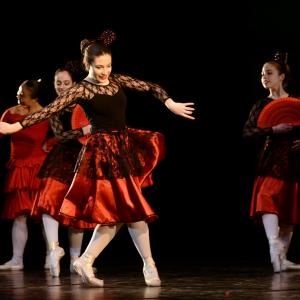 Fotografía de Don Quijote - Conservatorio de Danza