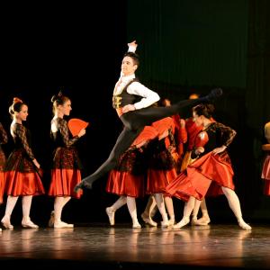 Fotografía de Don Quijote - Conservatorio de Danza