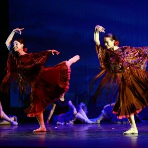 Fotografía de Don Quijote - Conservatorio de Danza