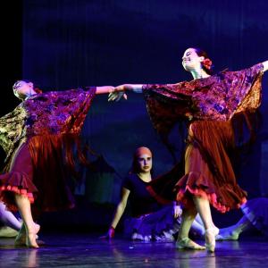 Fotografía de Don Quijote - Conservatorio de Danza