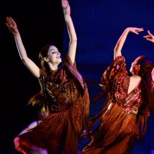 Fotografía de Don Quijote - Conservatorio de Danza