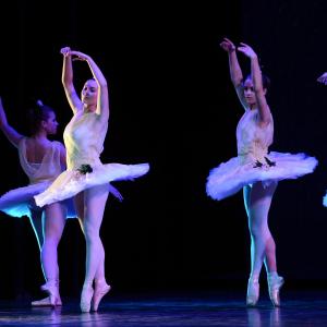 Fotografía de Don Quijote - Conservatorio de Danza