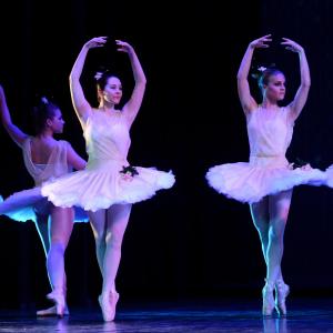 Fotografía de Don Quijote - Conservatorio de Danza