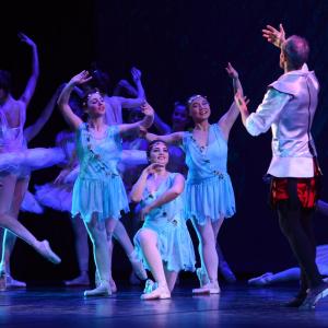 Fotografía de Don Quijote - Conservatorio de Danza