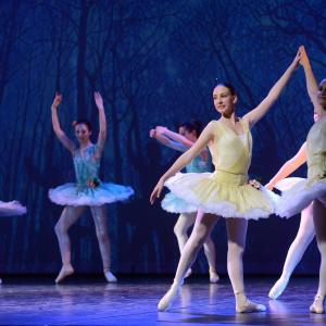 Fotografía de Don Quijote - Conservatorio de Danza
