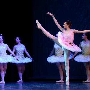 Fotografía de Don Quijote - Conservatorio de Danza