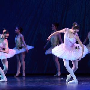Fotografía de Don Quijote - Conservatorio de Danza