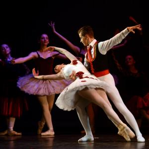 Fotografía de Don Quijote - Conservatorio de Danza