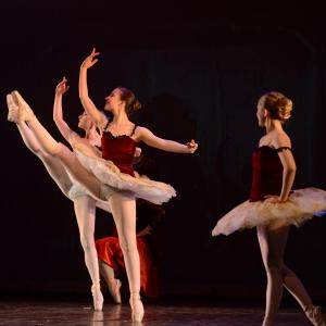 Fotografía de Don Quijote - Conservatorio de Danza