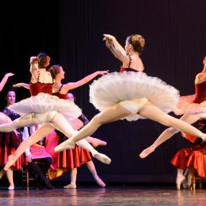 Fotografía de Don Quijote - Conservatorio de Danza