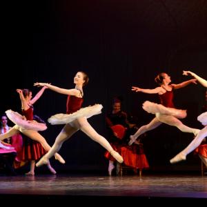 Fotografía de Don Quijote - Conservatorio de Danza