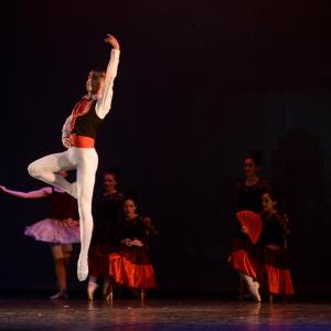 Fotografía de Don Quijote - Conservatorio de Danza