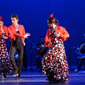 Fotografía de Talleres Baile Flamenco - Conservatorio de Danza