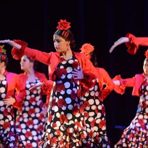 Fotografía de Talleres Baile Flamenco - Conservatorio de Danza