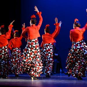Fotografía de Talleres Baile Flamenco - Conservatorio de Danza