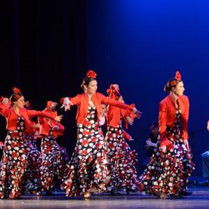 Fotografía de Talleres Baile Flamenco - Conservatorio de Danza