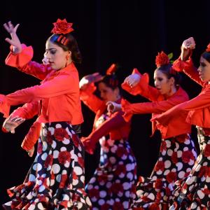 Fotografía de Talleres Baile Flamenco - Conservatorio de Danza