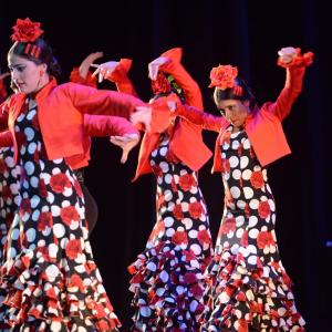 Fotografía de Talleres Baile Flamenco - Conservatorio de Danza
