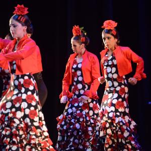 Fotografía de Talleres Baile Flamenco - Conservatorio de Danza