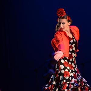 Fotografía de Talleres Baile Flamenco - Conservatorio de Danza
