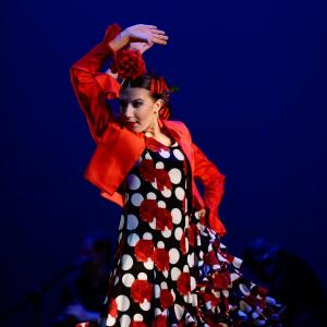 Fotografía de Talleres Baile Flamenco - Conservatorio de Danza