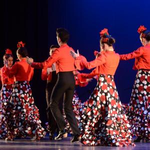 Fotografía de Talleres Baile Flamenco - Conservatorio de Danza