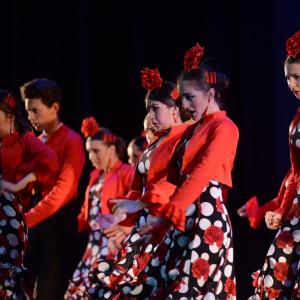 Fotografía de Talleres Baile Flamenco - Conservatorio de Danza