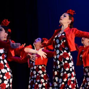 Fotografía de Talleres Baile Flamenco - Conservatorio de Danza