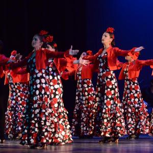 Fotografía de Talleres Baile Flamenco - Conservatorio de Danza