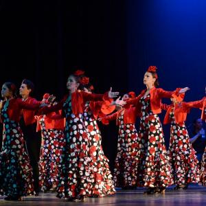 Fotografía de Talleres Baile Flamenco - Conservatorio de Danza
