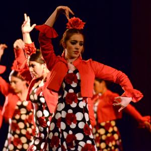 Fotografía de Talleres Baile Flamenco - Conservatorio de Danza