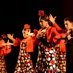 Fotografía de Talleres Baile Flamenco - Conservatorio de Danza