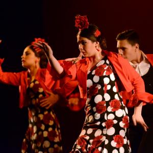 Fotografía de Talleres Baile Flamenco - Conservatorio de Danza