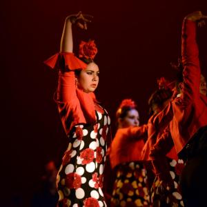 Fotografía de Talleres Baile Flamenco - Conservatorio de Danza