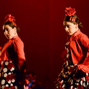 Fotografía de Talleres Baile Flamenco - Conservatorio de Danza