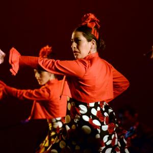Fotografía de Talleres Baile Flamenco - Conservatorio de Danza