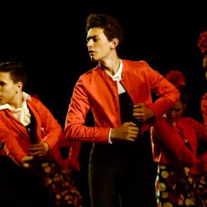 Fotografía de Talleres Baile Flamenco - Conservatorio de Danza