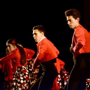 Fotografía de Talleres Baile Flamenco - Conservatorio de Danza