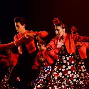 Fotografía de Talleres Baile Flamenco - Conservatorio de Danza