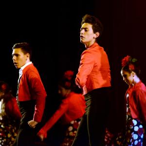 Fotografía de Talleres Baile Flamenco - Conservatorio de Danza